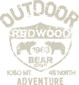 Redwood bear