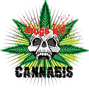 Cannabis drugs kill