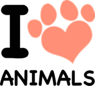 I love animals