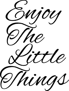 Enjoy the little things