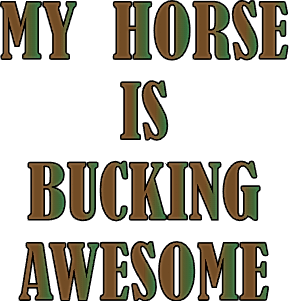 My horse is buckingh awesome