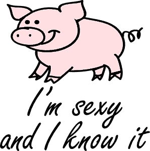 I\'m sexy and I know it