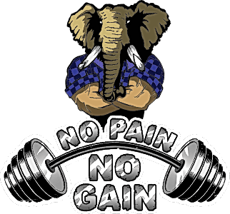 No pain no gain