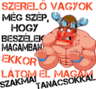 Szerelő vagyok