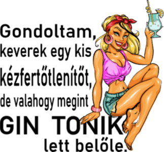 Gin Tonik