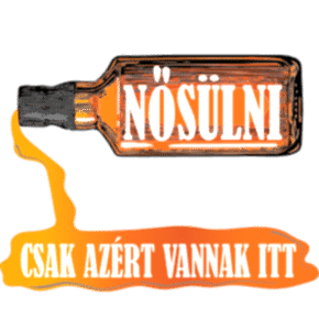 Meg fogok nősülni