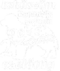 Őrült golden retriever gazdi