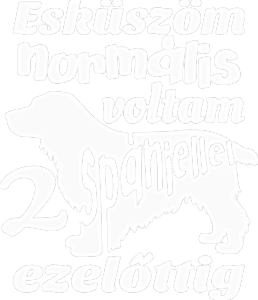 Őrült spániel gazdi