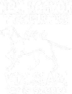 Vizsla gazda