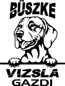 Büszke vizsla gazdi