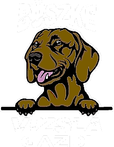 Büszke vizsla gazdi