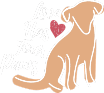 Love has four paws