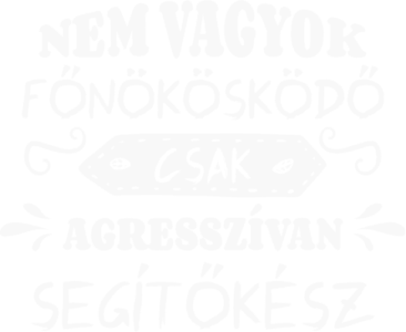 Nem vagyok főnökösködő