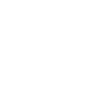 Beszélt nyelvek