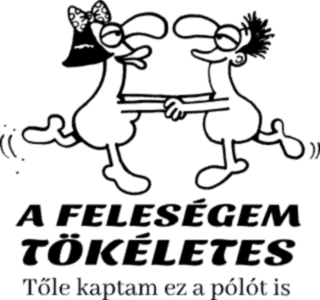 A feleségem tökéletes