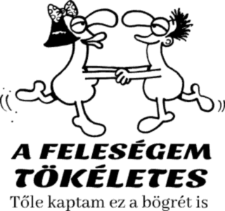 A feleségem tökéletes