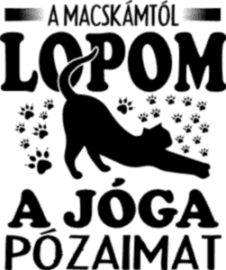 A macskámtól lopom a jóga pózaimat