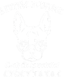 A kutyák is orvosok