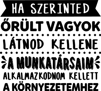 Ha szerinted őrült vagyok