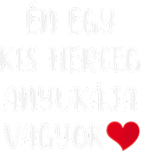 Én egy kis herceg anyukája vagyok