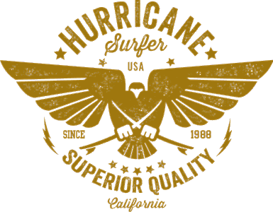 Hurrican surfer