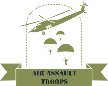 Air assault troops