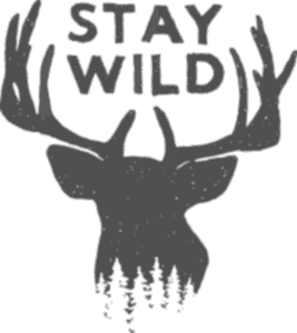 Stay Wild