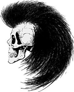 Rocker skull